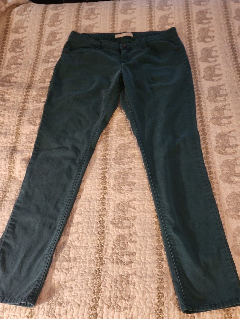 NOBO Teal Denim-Style Pants